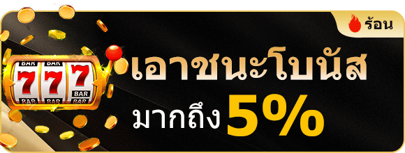 โปรโมชั่น h25