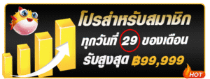 New member promotion on the 29th-h25com