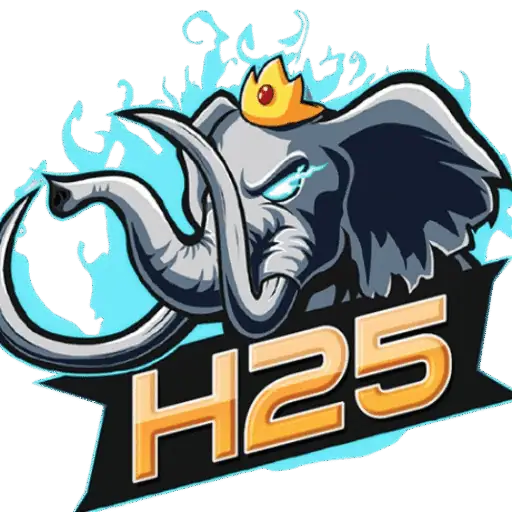 h25