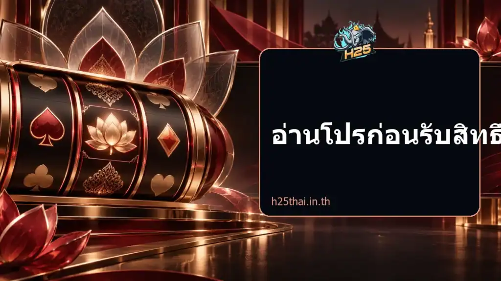 อ่านโปรก่อนรับสิทธิ์